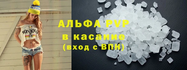 прущие грибы Алзамай