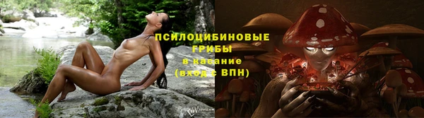 марки nbome Алексеевка