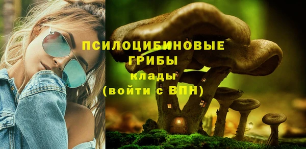марки nbome Алексеевка