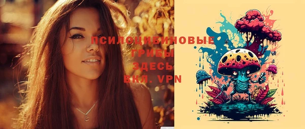 прущие грибы Алзамай
