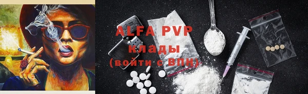 прущие грибы Алзамай