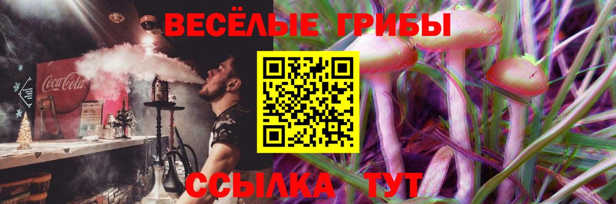 Псилоцибиновые грибы Cubensis Лянтор