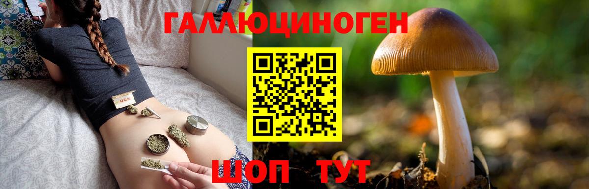 Галлюциногенные грибы Psilocybine cubensis  Галлюциногенные грибы ЛСД  Лянтор  Вход с VPN 